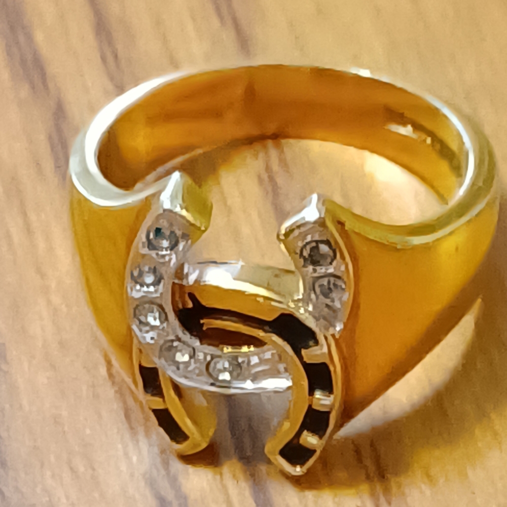 Double horseshoe ring.